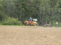 IMG_1521_web
